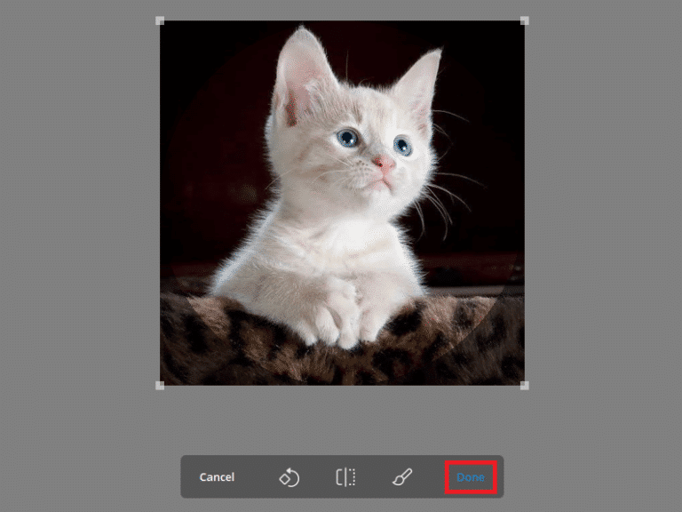 click-done-to-set-your-new-profile-picture-768x576-1 كيفية إضافة وتغيير وحذف صورة ملف تعريف Telegram