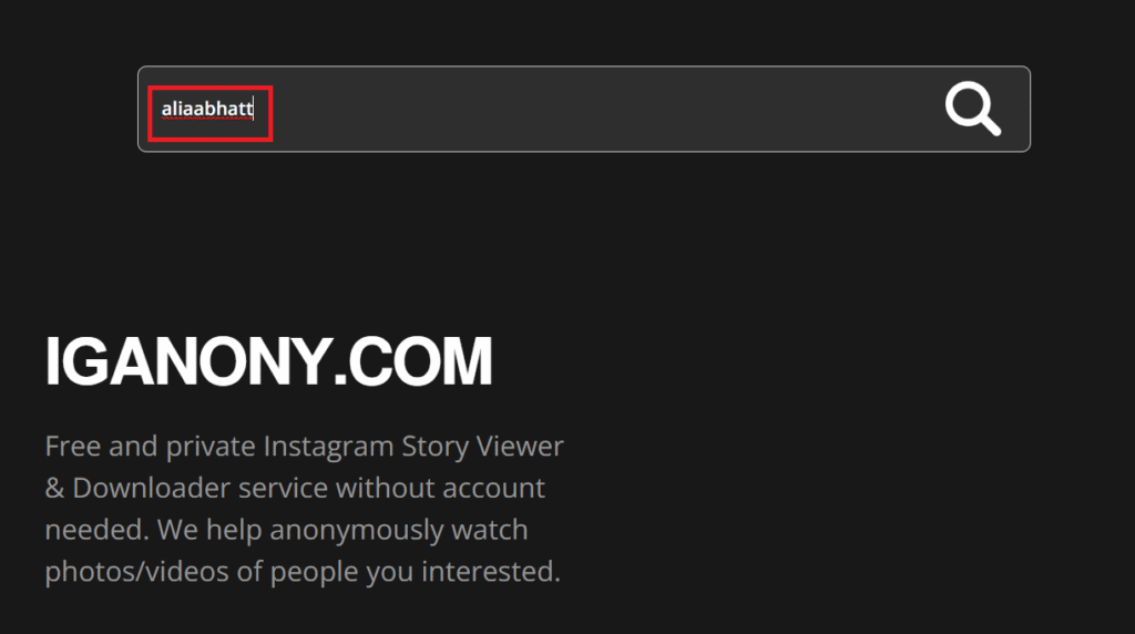 enter-the-username-in-the-searchbox-1024x572-1 كيفية مشاهدة منشورات وقصص Instagram بدون حساب