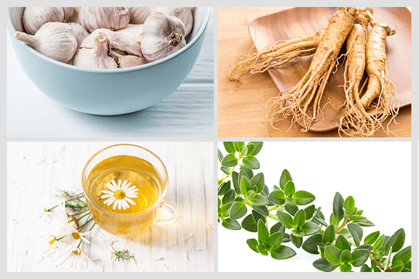 12 نوع من الأعشاب الطبية مفيدة لصحتك - %categories