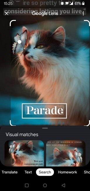 perform-reverse-image-search-android-chrome-results كيفية إجراء بحث عكسي عن الصور من هاتف Android