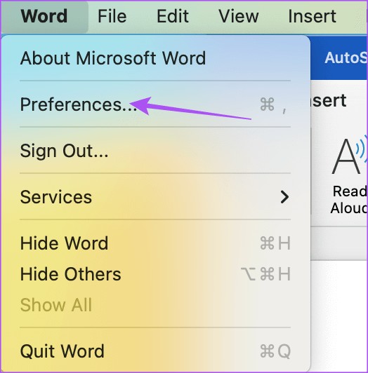 preferences-word-mac أفضل 5 إصلاحات لعدم عمل التصحيح التلقائي في Microsoft Word على Mac