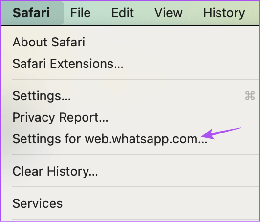 settings-for-website-whatsapp-web-safari أفضل 5 إصلاحات لعدم وجود صوت في WhatsApp للويب على Mac و Windows