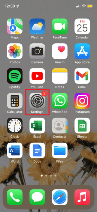 settings-option-on-iphone-e1671308323872 كيفية التحقق من عمر جهاز iPhone