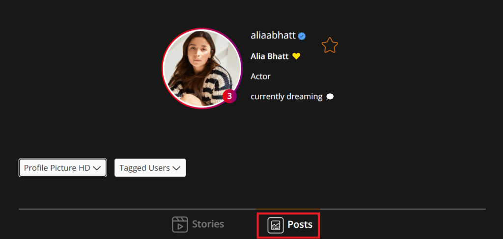 to-view-the-post-just-click-on-posts-and-you-will-1024x487-1 كيفية مشاهدة منشورات وقصص Instagram بدون حساب