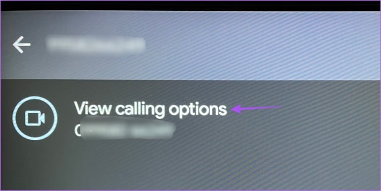 view-calling-options-google-duo-android-tv-768x385-1 كيفية استخدام Google Duo على Android TV