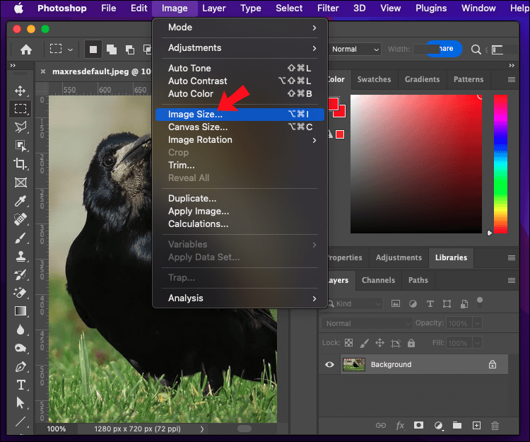 Create-an-Action-4 كيفية تغيير حجم الملفات دفعة واحدة في برنامج Photoshop