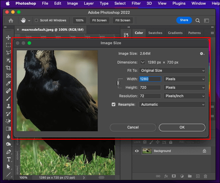 Create-an-Action-5. كيفية تغيير حجم الملفات دفعة واحدة في برنامج Photoshop