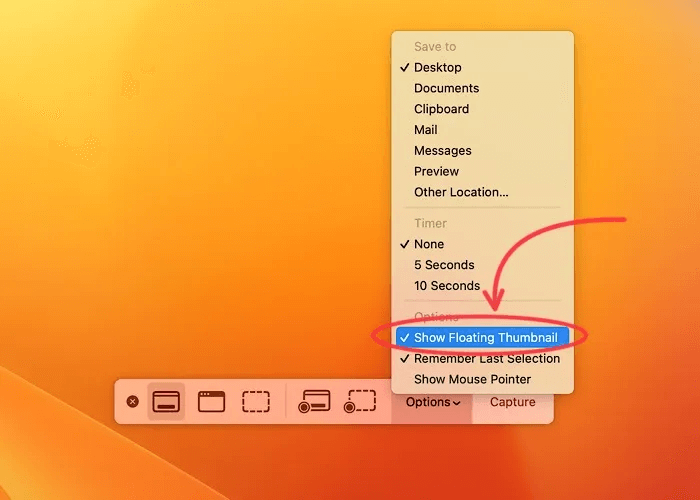 Screenshots-floating-thumbnail-checked.jpeg كيفية تعطيل معاينة لقطة الشاشة المصغرة على Mac