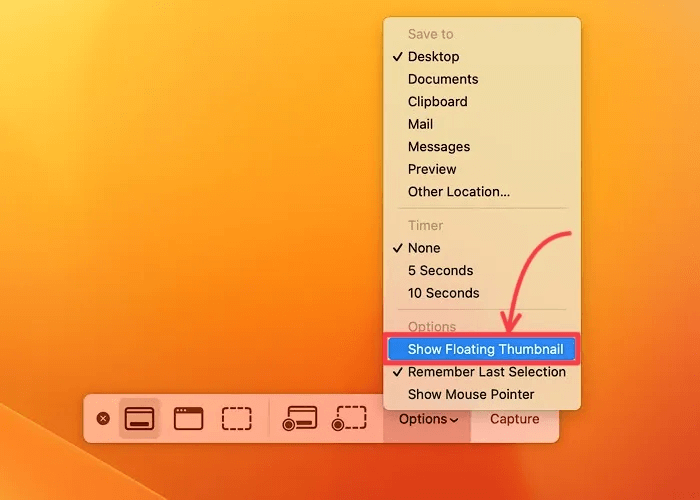 Screenshots-floating-thumbnail-unchecked-1.jpeg كيفية تعطيل معاينة لقطة الشاشة المصغرة على Mac