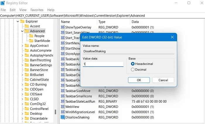 Windows-Registry-Hacks-Advanced-Disallow-Shaking-New-Value.jpg 16 إختراق لسجل Windows مفيد لتحسين تجربتك
