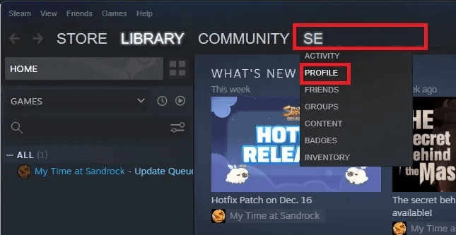 how-to-find-your-steam-id-and-customize-it-steamsettings-profile.jpg كيفية العثور على معرف Steam الخاص بك وتخصيصه