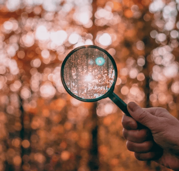 how-to-win-at-instagram-search-find.jpg 8 نصائح لتجعل حسابك ظاهرا وسهل الاكتشاف على Instagram Search