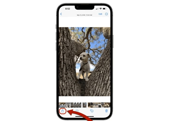 iphone-photo-share-button.jpg كيفية عمل AirPlay على Mac من iPhone