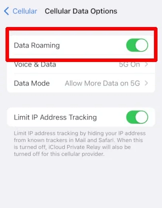 iphone-settings-data-roaming.jpg 7 أسباب لـ “No Service” على iPhone