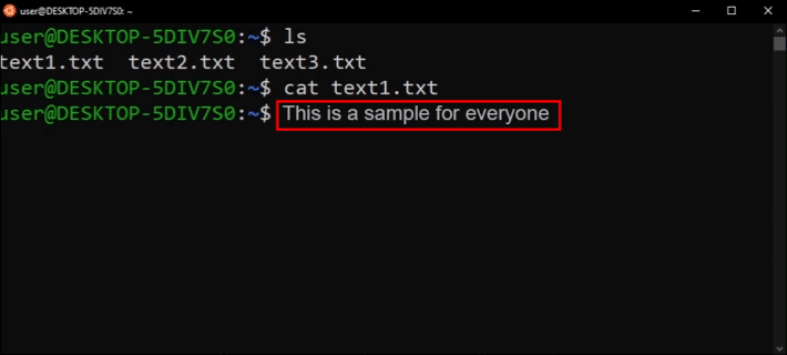 lester2-8 كيفية إنشاء ملف نصي في Linux