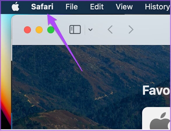 safari-settings-mac-1 كيفية إضافة بطاقة ائتمان في Safari على iPhone و iPad و Mac