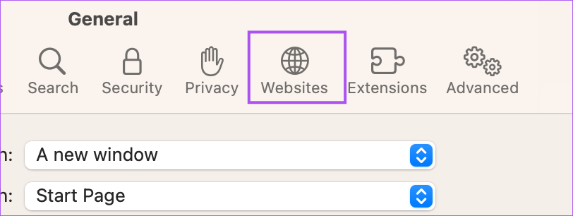 websites-safari-settings-mac أفضل 9 إصلاحات لعدم تنزيل الملفات Safari على نظام Mac
