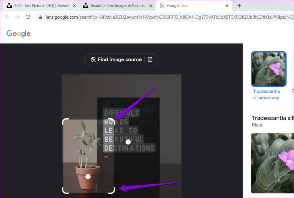 كيفية استخدام Google Lens Search في Chrome أحلى هاوم