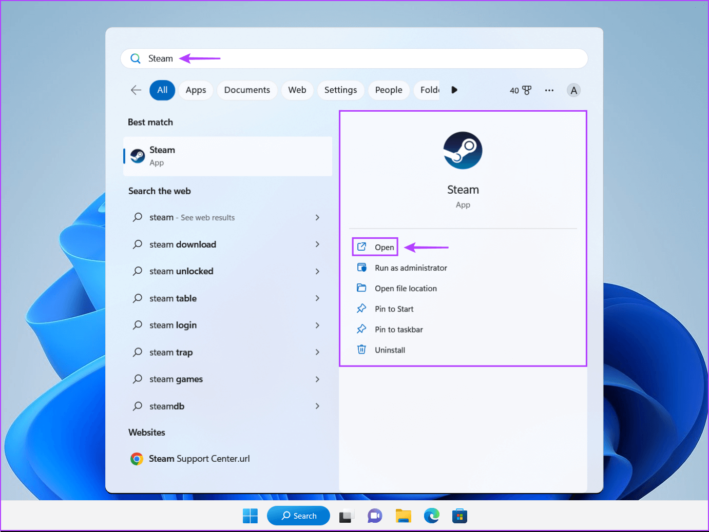 Launch-Steam أفضل 7 طرق لإصلاح عدم عمل البث عبر Steam على Windows 11