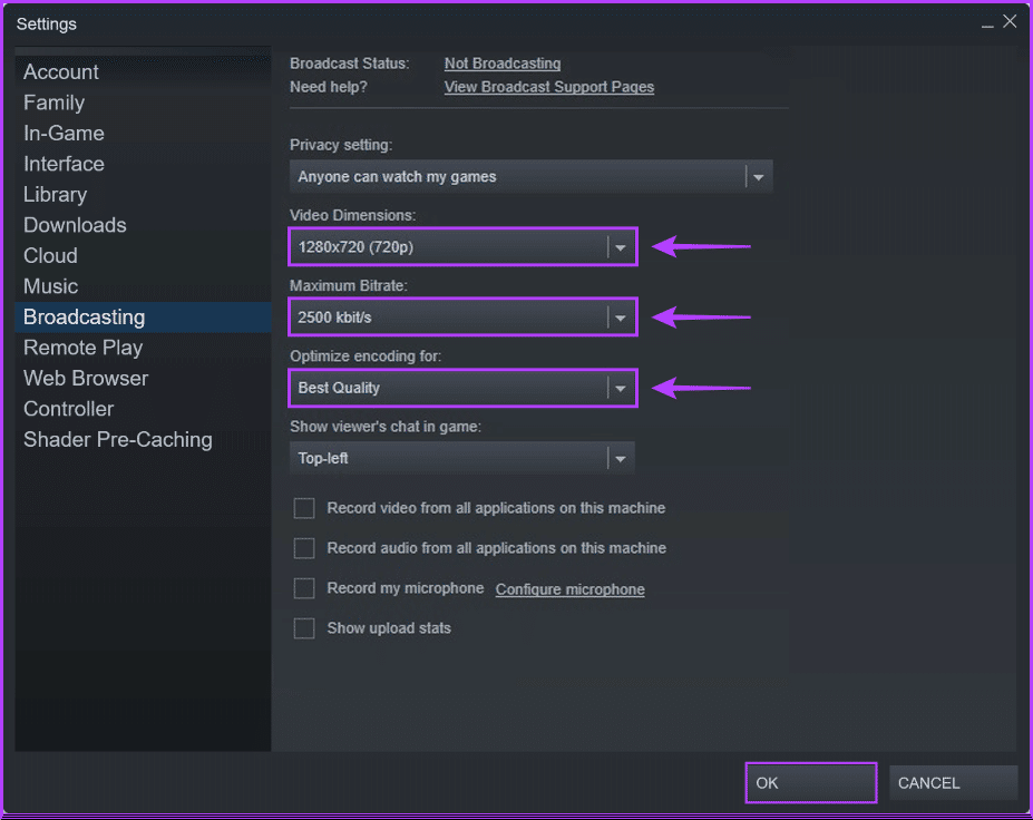 Lower-the-Stream-Quality أفضل 7 طرق لإصلاح عدم عمل البث عبر Steam على Windows 11