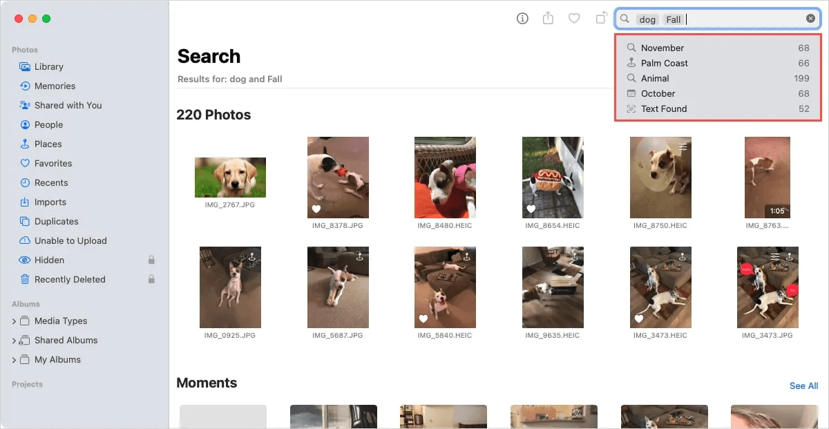 Mac-Photos-Search-Suggestions.jpg 7 ميزات لتطبيق Apple Photos على Mac يجب أن تستخدمها