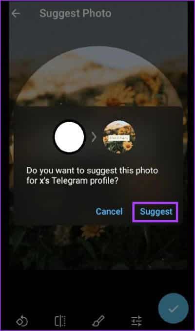 كيفية اقتراح صور الملف الشخصي لجهات اتصال Telegram - %categories