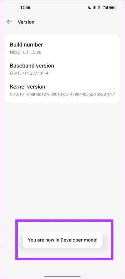Developer-Mode-Enabled-1-1 كيفية تمكين أو تعطيل التشغيل التلقائي لتطبيقات Android