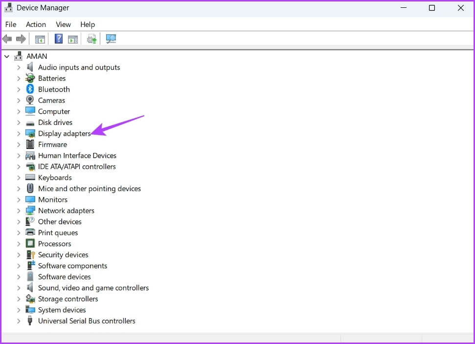 Display-Adapters-3 أفضل 7 طرق لإصلاح مشكلة الشاشة السوداء في مكتبة Steam على Windows 11