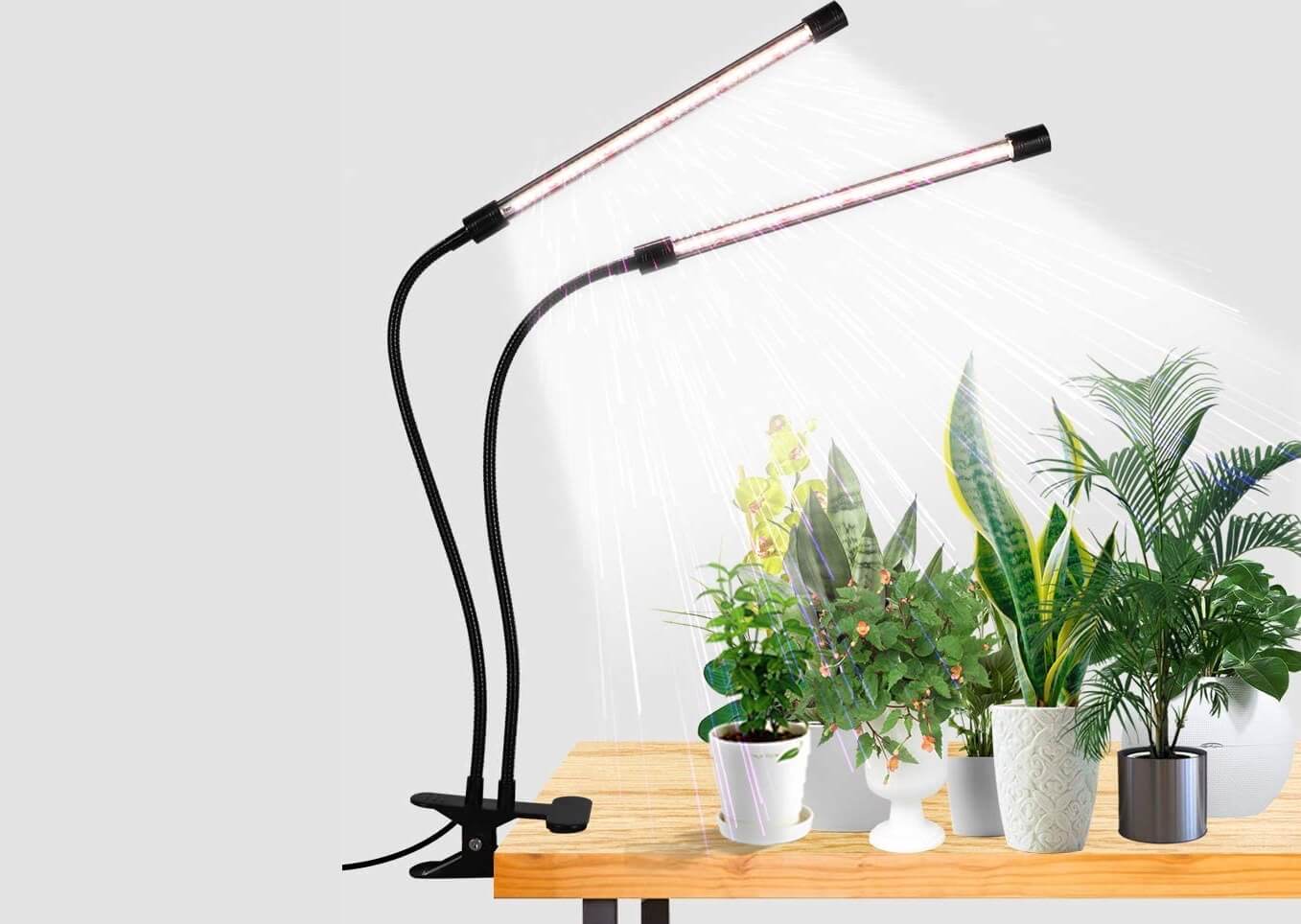 GooingTop-Grow-LED-Lights أفضل 6 مصابيح LED لإضافة رونق على النباتات الداخلية