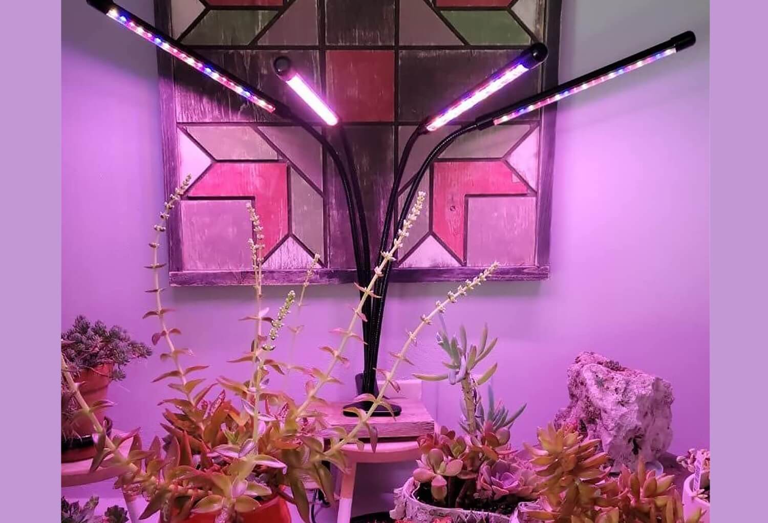 LEOTER-Grow-LED-Lights أفضل 6 مصابيح LED لإضافة رونق على النباتات الداخلية