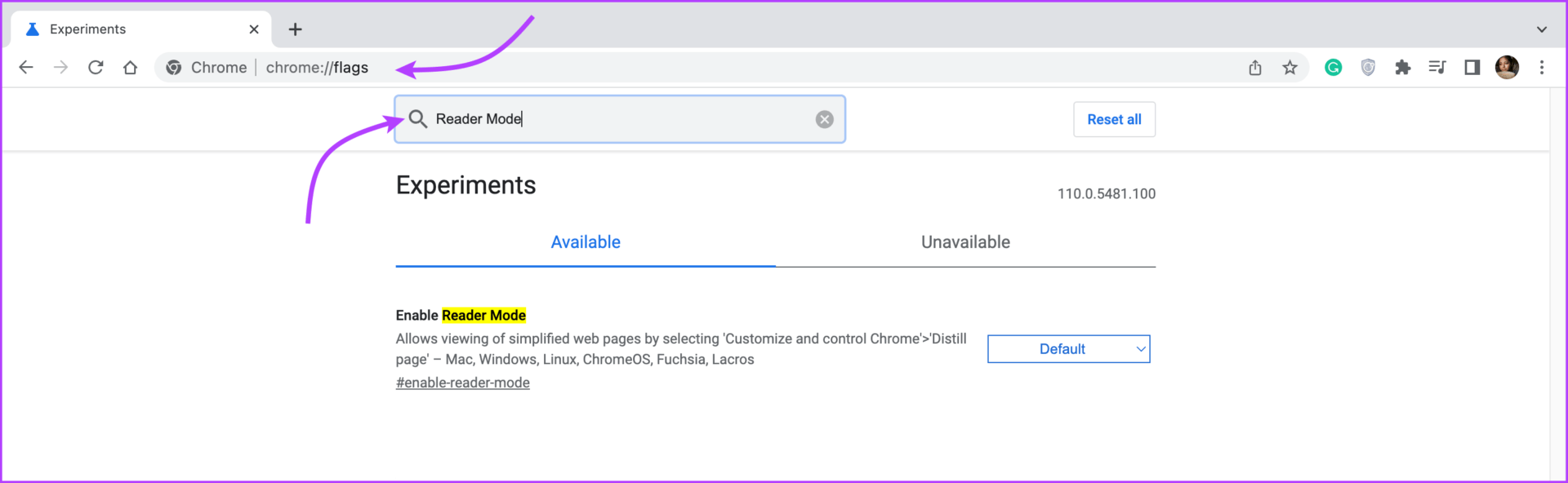 Turn-on-Reader-Mode-in-Chrome-With-Chrome-Flags-1 كيفية تمكين أو تعطيل وضع القارئ في Chrome