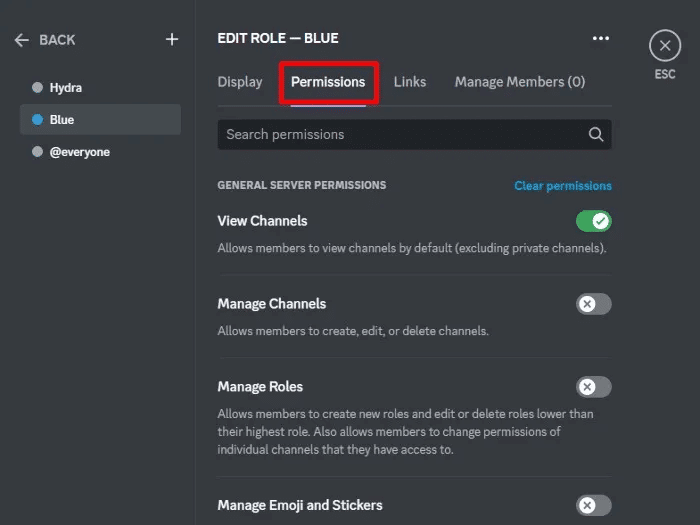 discord-how-to-add-hydra-bot-role-permissions.jpg كيفية إضافة Hydra Bot إلى خادم Discord