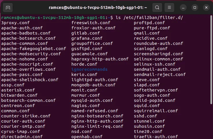 install-fail2ban-linux-16-list-all-filter-files.png كيف تحمي خادمك باستخدام Fail2Ban في Linux