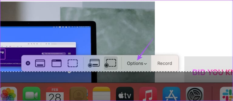 options-screenshot-utility-mac-768x335-1 كيفية تغيير اسم الملف وموقع تنزيل لقطات الشاشة على نظام Mac