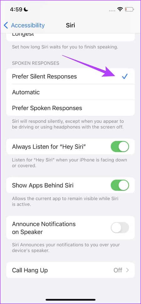 Prefer-Silent-Responses كيفية الكتابة على Siri في iPhone: طريقتين سهلتين