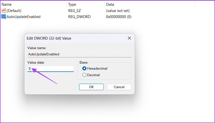 Value-data-1 3 طرق سريعة لتمكين أو تعطيل التحديث التلقائي للخرائط دون اتصال في Windows 11