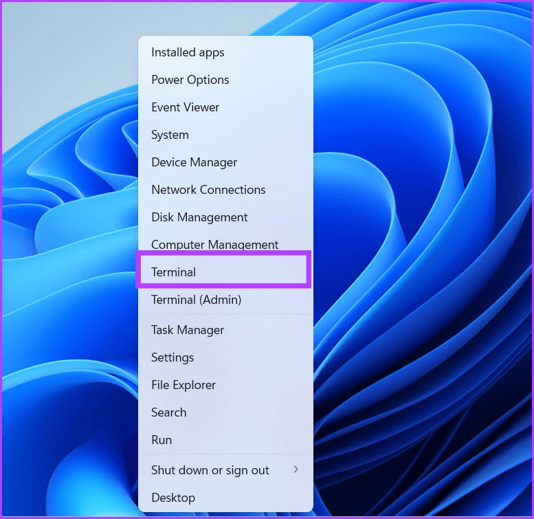 open-network-connections-using-cmd 9 طرق سهلة لفتح اتصالات الشبكة في Windows 11