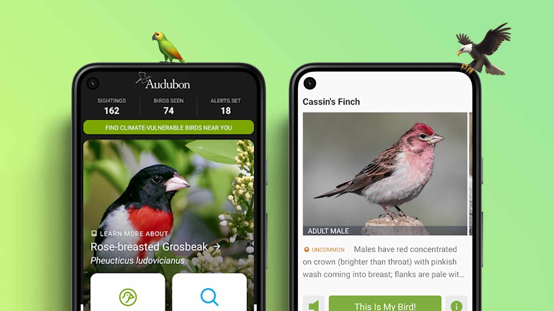 أفضل 5 تطبيقات للتعرف على الطيور لأجهزة Android و iOS - %categories