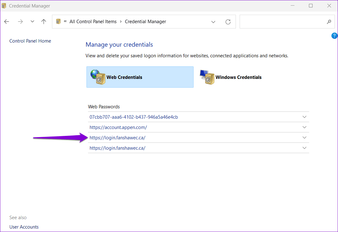 Accounts-in-Credential-Manager-1 كيفية الوصول إلى إدارة بيانات الاعتماد واستخدامه على Windows 10 و Windows 11