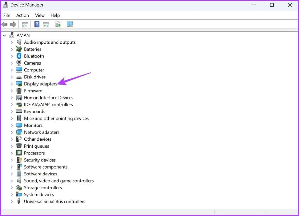 Display-Adapters-4 أفضل 6 طرق لإصلاح ظهور الشاشة السوداء عند الضغط على Alt + Tab في Windows
