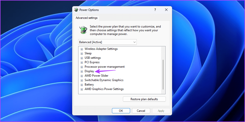 Display-node أفضل 5 طرق لإصلاح عدم عمل إعدادات شاشة التوقف وباللون الرمادي في Windows 11