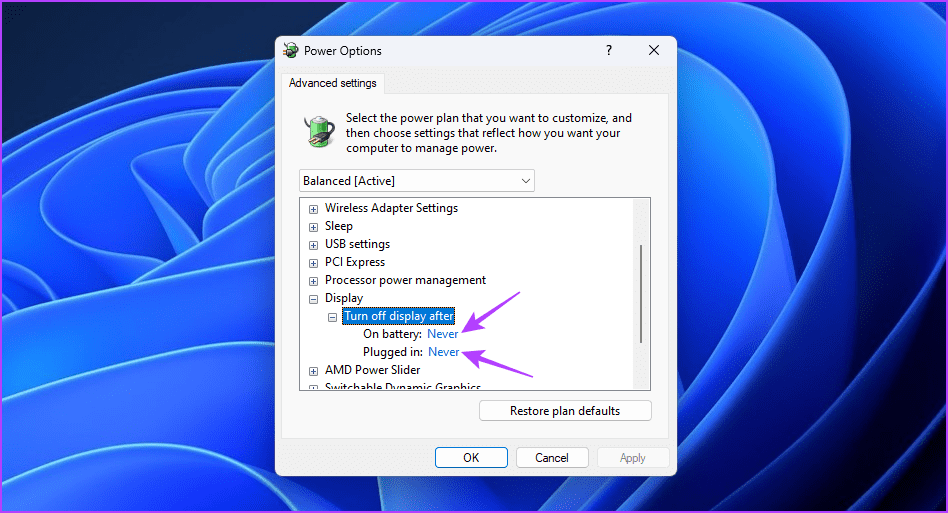 Never-option أفضل 5 طرق لإصلاح عدم عمل إعدادات شاشة التوقف وباللون الرمادي في Windows 11