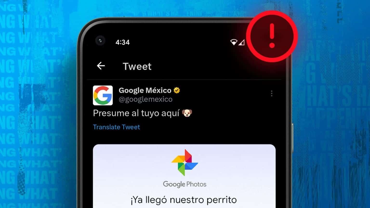 Twitter | 앱에서 작동하지 않는 트윗 번역을 수정하는 방법 최고의 집