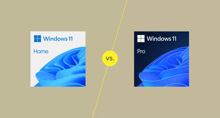 Windows 11 Home vs Windows 11 Pro - %categories