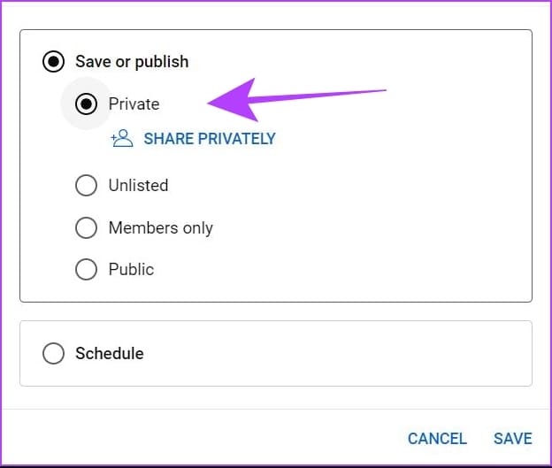 click-on-private-2 كيفية حذف مقاطع الفيديو على YouTube: دليل خطوة بخطوة