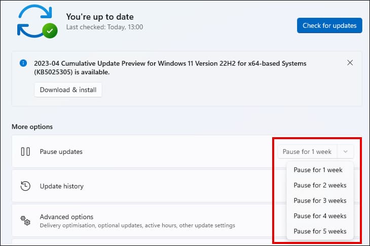 pause-updates 8 إعدادات يجب على اللاعبين تعديلها في Windows 11