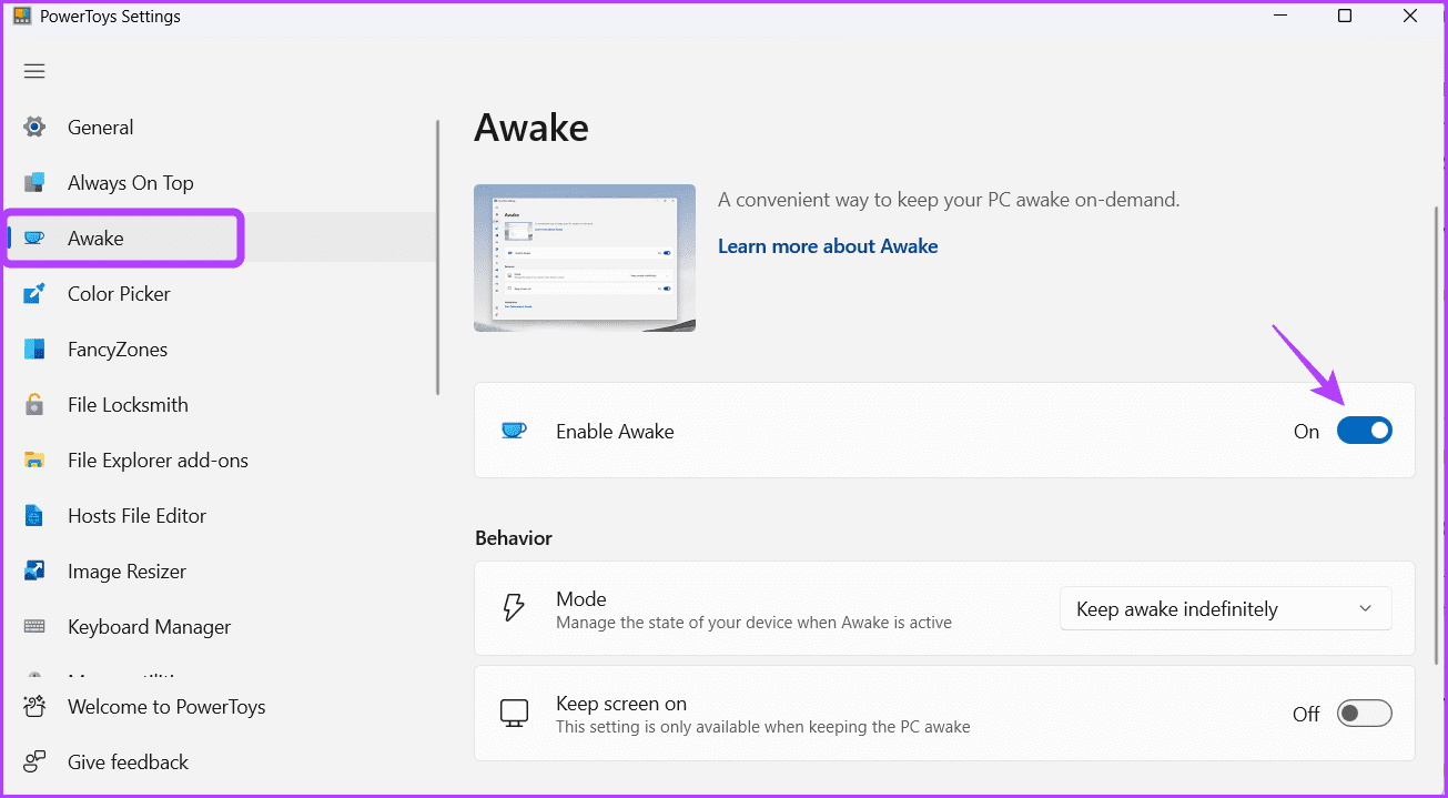 Awake-option 4 أفضل الطرق لتعطيل وضع السكون في Windows 11