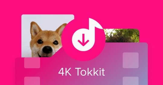 أفضل برنامج تنزيل فيديو TikTok - %categories