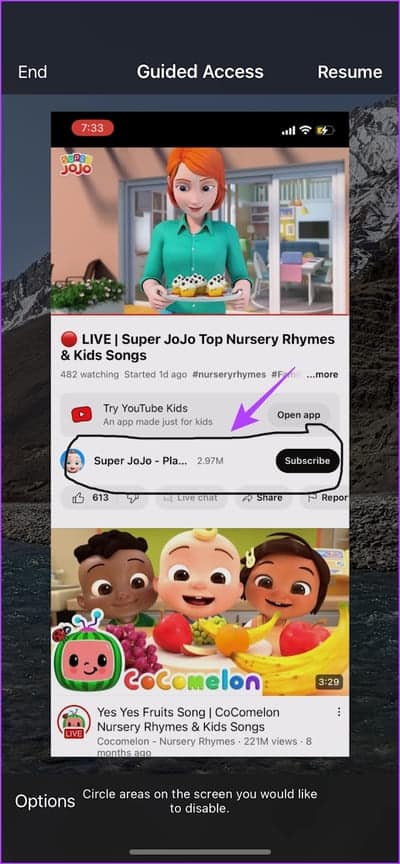 Circle-Areas كيفية استخدام الوصول الموجه Guided Access على iPhone و iPad