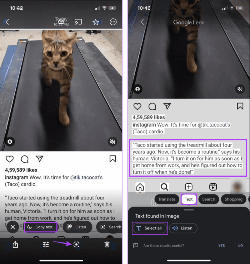 Copy-Text-from-An-Instagram-Post-13 4 طرق سهلة لنسخ النص من منشور Instagram